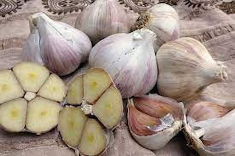 تصویر 2 از سیر اصفهان متوسط ممتاز تندی کم و عطر فراوان